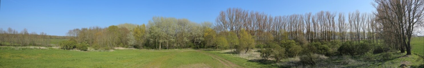 Panorama of Wuestung Spiegelsdorf in Mecklenburg-Vorpommern. The village was abandoned long ago in...