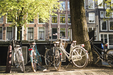 Fototapeta na wymiar 18 March 2016. Amsterdam. Netherlands. Large amounts of Bicycles at docking stands in Amsterdam during the day.