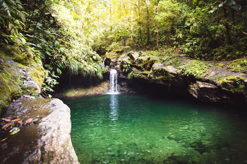 Piscine naturelle en forêt - Guadeloupe