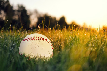 Baseball in the grass