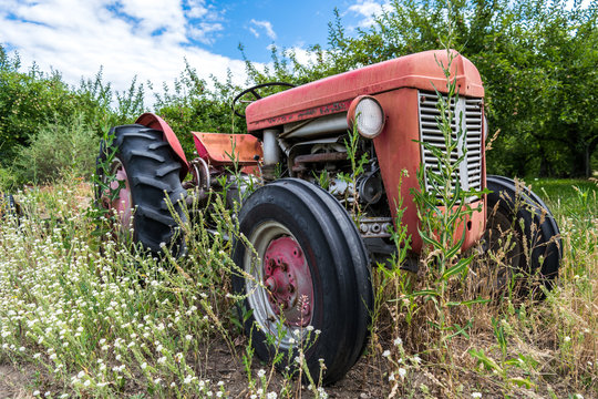 Red old tractor with rust in tall weeds and grass
