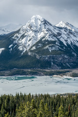 Fototapeta na wymiar Snowy mountain peak with melting lake and trees