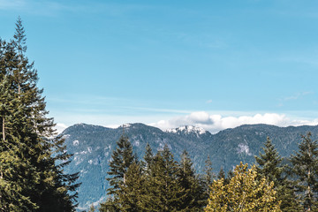 Trees near Quarry Rock at North Vancouver, BC, Canada