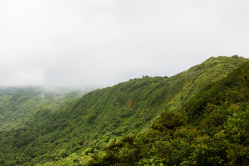 Rainforest landscape in Monteverde Costa Rica