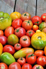 Different maturity degree fresh farm tomatoes