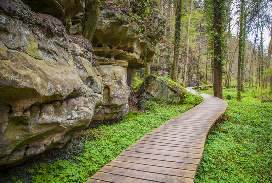 Mullerthal Trail Landscape   Petit Luxembourg Suisse Echternach 