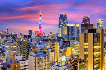 Tokyo, Japan Skyline