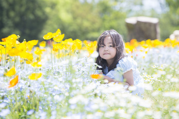 花畑と女の子