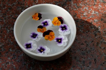 bowl with colorful flower petals floating on surface of water
