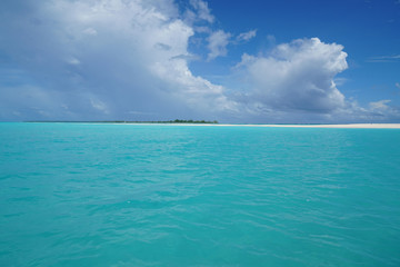 Fototapeta premium 南国パラオの海 Tropical Palauan Sea