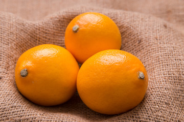 国産マイヤーレモン