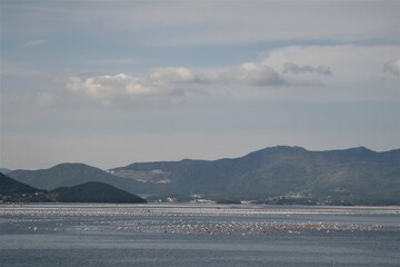 Oyster farm in the sea 
