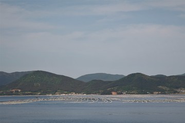 Oyster farm in the sea 
