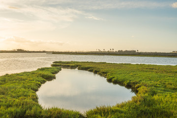 Bolsa Chica Wetlands, Huntington Beach in Southern California 