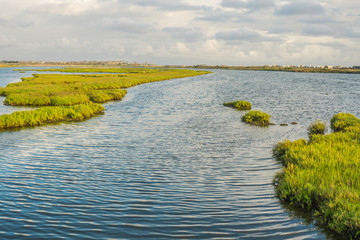 Bolsa Chica Wetlands, Huntington Beach in Southern California 