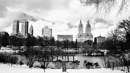Central Park, New York winter