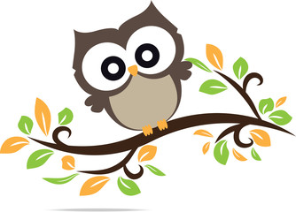 owl cute in isolate background