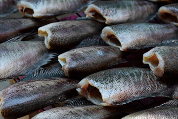 dried salted damsel fish