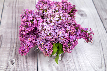 purple lilac bouquet in glass vase on grey background