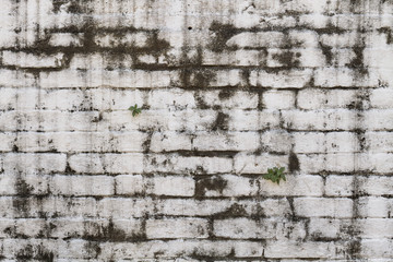 Cracks on concrete,Cement floor texture 