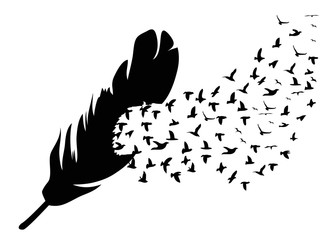 Obraz premium bird flying from feather