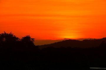 Fototapeta na wymiar sunset beautiful and silhouette tree colorful landscape in sky twilight time