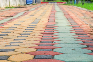 walkway block stone color cement in the park and copy space add text  Select focus with shallow depth of field.