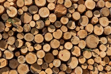 Möbelaufkleber A pile of cut wood stump log texture © agnieszka_marcinska