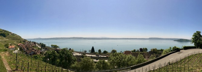 Sommer Landschaft - Panorama über dem See in der Schweiz 