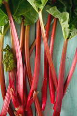 fresh rhubarb on wooden surface