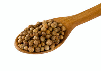 Coriander (cilantro seeds) isolated on white