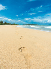 Beach and beautiful tropical sea.