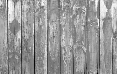 wood texture. background old panels