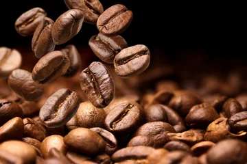 Foto auf Alu-Dibond Fallende Kaffeebohnen. Dunkler Hintergrund mit Kopienraum, Nahaufnahme © xamtiw