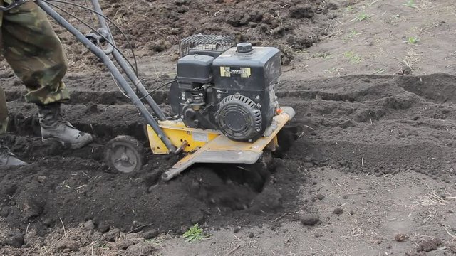 The farmer cultivates the land with a cultivator. agriculture. mini tractor. In Russia