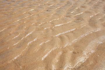 The grain of sand by the sea