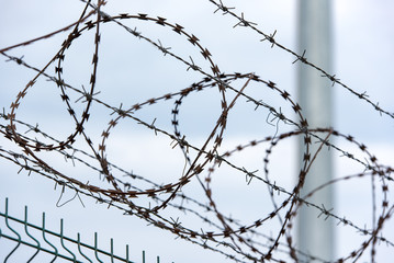 Line of barbed wire