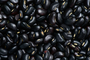 Black bean