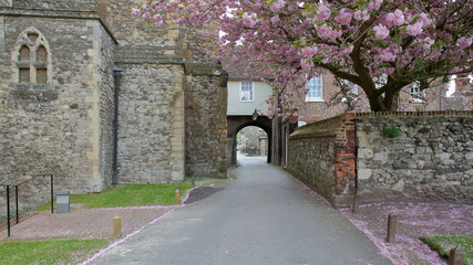 ROCHESTER, UK: Gardens outside the Cathedral with medieval walls and spring colors