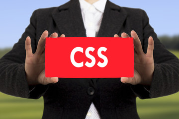 css (cascading style sheets)