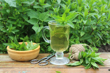 Mint tea. Herbal tea and mint
