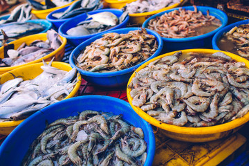 Goa - India-January 17 : fish auction in Goa wholesale fish market, India,a lot of fresh fish and shrimp in the containers. Siolim.