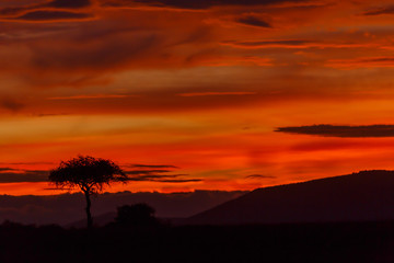 Beautiful sunrise in Masai Mara, Kenya