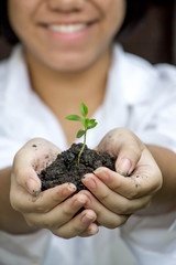 girl holding green young plant in hands