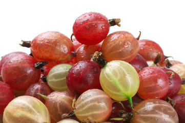 Gooseberries close-up on white