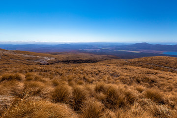 Alpin Crossing im Tongariro National Park in Neuseeland (New Zealand)