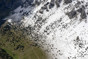  spring snow, fir and meadows on Presolana slopes , Italy