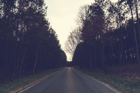 Fototapeta darken street at forest landscape