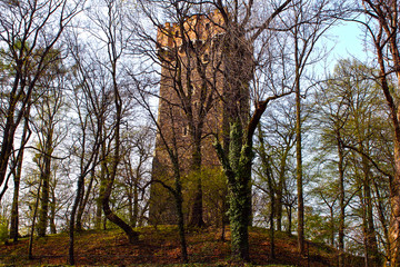 Tower behind trees