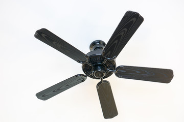 Ceiling fans